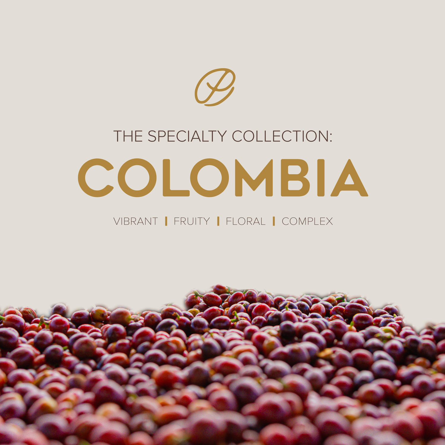 The Specialty Collection: Colombia