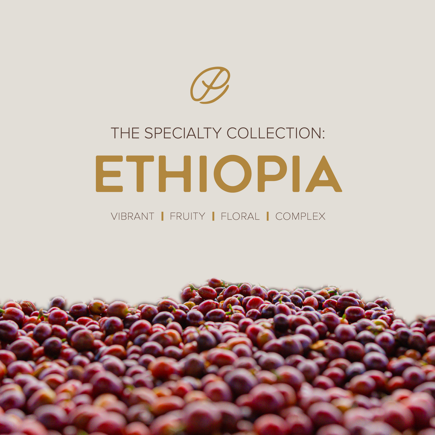 The Specialty Collection: Ethiopia